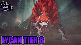 Instance Dungeon Lycan Tier 8 | Solo Leveling: ARISE