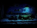 Lost in Shadows