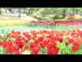 アンドレ・ギャニオン/甘い告白 ― Andr&eacute; Gagnon/Les Doux Aveux