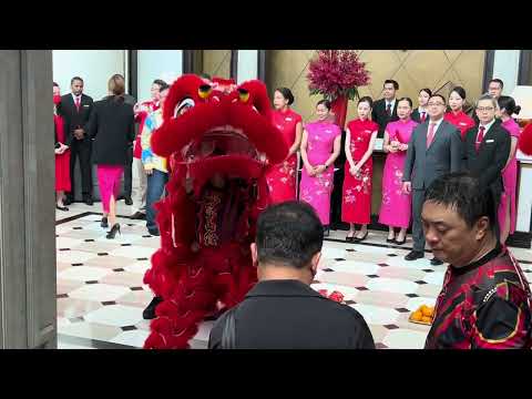 #Сингапур 🇸🇬 Китайский Новый год 2023 🧧 | Танец Дракона 🐉 и Львов 🦁 | ждут процветающие времена.