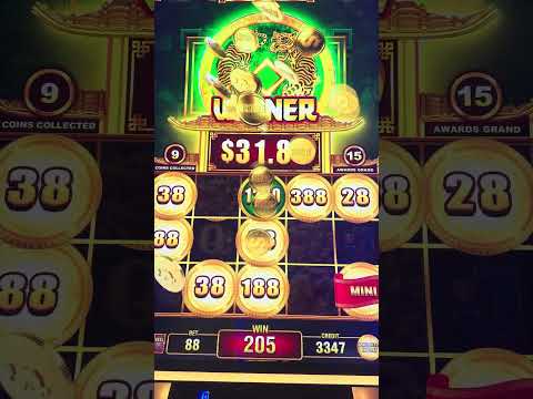 Pin Up Casino App: Şəkilli Online Kazino Oynamaq