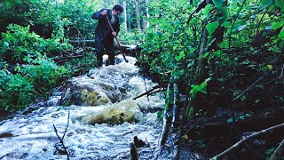 Beavers blocked the river. Aerial reconnaissance and river revitalization. Part 3