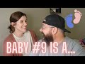 Gender Reveal at 8 Weeks!!! Finding out if baby #9 is a boy or girl!!!