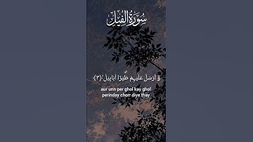 Surat Al-Fil (The Elephant) |Mishary Rashid Alafasyمشاري بن راشدالعفاسي |سورة الفيل