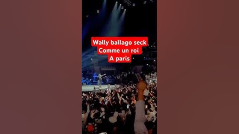 Wally seck concert salle pleine à Paris Adidas arena