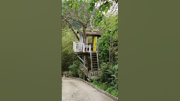 TREE HOUSE AT THE HOBBIT VALLEY MIAOLI TAIWAN #shorts