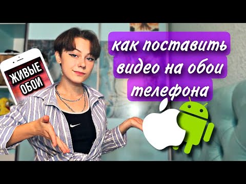 Как поставить видео на обои телефона. Живые обои на айфон и андроид. Видео обои на вашем смартфоне
