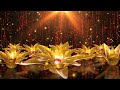 Golden Flowers of LUCK and MONEY | Attract Wealth, Love and Health | 432 Hz