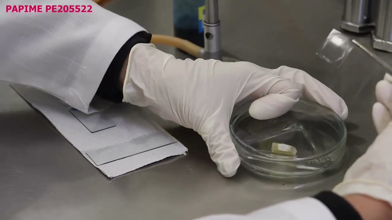 Técnica de Microcultivo de Ridell