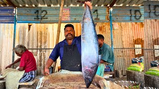 KASIMEDU 🔥 SPEED SELVAM | BIG SIZE ARA KOLA FISH CUTTING VIDEO | IN KASIMEDU | FF CUTTING 🔪