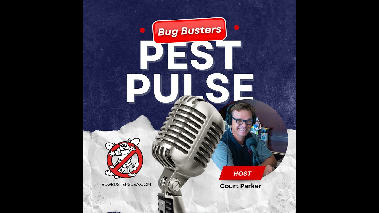 Pest Proofing Your Home Before Leaving On Vacation