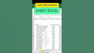 CARA MENAMBAH SHEET DI EXCEL #excel #sheet #worksheet #tambahsheet #excelpemula