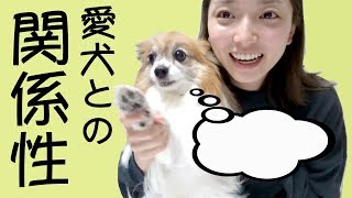 久々に実家で愛犬と戯れてきた☺︎