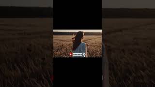 Александр Пушкин — Если жизнь тебя обманет   1825 г.