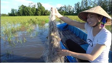 52 / Giăng lưới mùa nước nổi | Fishing