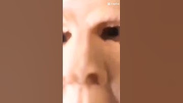 Code for elude maze in slap battle