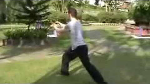 Clloud Hands Grasp Sparrow by Sifu Robin Gamble