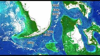 Southeastern U.S. Ocean Conditions Update - 6/10/2025