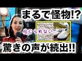 衝撃!『次元が違う...』日本の鉄道技術と規模を知った外国人から驚きと称賛の声が!!【海外の反応】