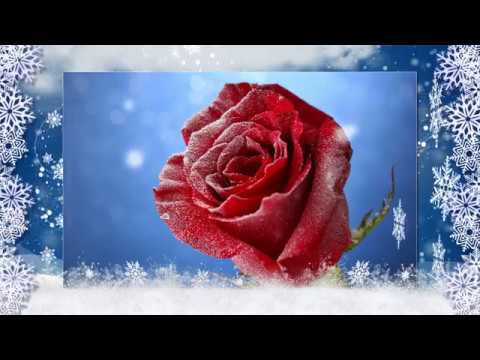 Video: Vislabākās Savvaļas Ziedu Ziedēšana Pasaulē Un Kad To Apmeklēt