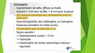 Epididymite et hydrocèle en échographie