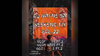 Dj Wayne Sa - Weekend Fix Vol22