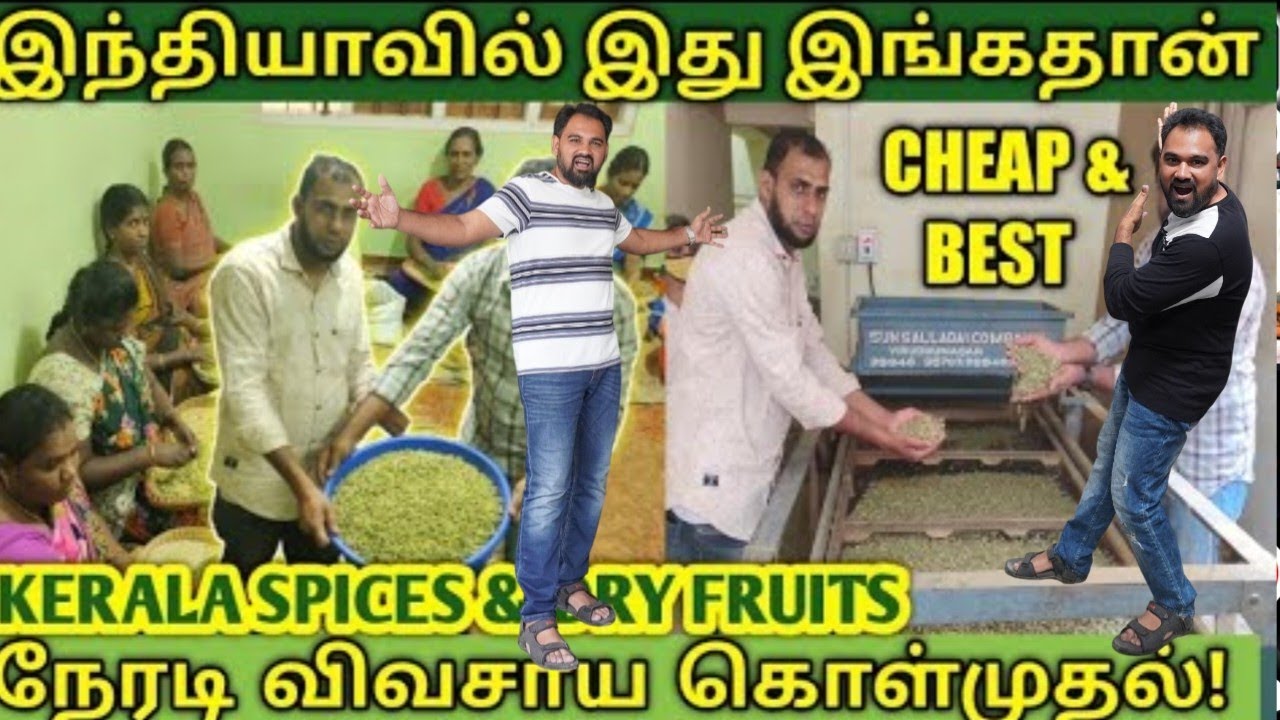 👍WHOLESALE விலையில் கேரள விவசாயி இடம் இருந்து நேரடி கொள்முதல் | Al Rabi spices kerala kumuli Aslam