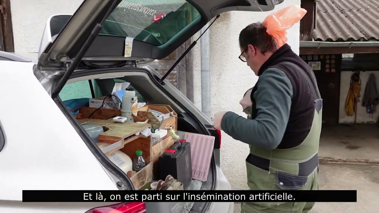 L'insémination artificielle - Février part 2