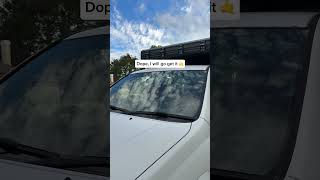 Do you like his carrot outfit? 🥕🥕🥕 #fitcheck #haul #dachshund #sausagedog #doglife