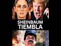 ¡TRUMP HIZO TEMBLAR A SHEINBAUM Y SU REGIMEN!