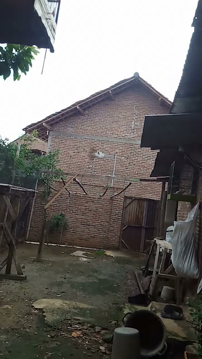 Suasana pagi hari di rumah