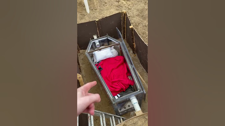 MrBeast Buried Nolan Alive