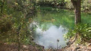 BLUE SPRING STATE PARK: MANATEES AND GAR FISH by TheBoatBoy 39 views 1 month ago 4 minutes, 4 seconds