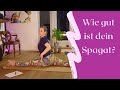 Spagat-Test // Wie geht Spagat lernen richtig? Spagat Challenge Tag 1