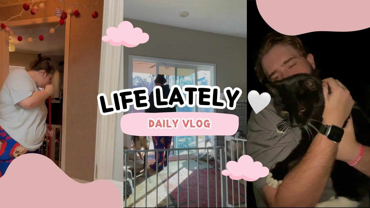 	Life Lately: Dogs, Cleaning & Everyday Routines 🐾✨