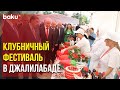 В Городе Джалилабад Состоялся Фестиваль Клубники