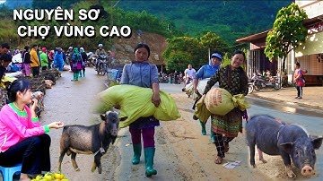 HBT | Món Ngon Chợ CỐC LY – Dê Núi, Lợn Cắp Nách, Trâu Bò Đặc Sản Vùng Cao