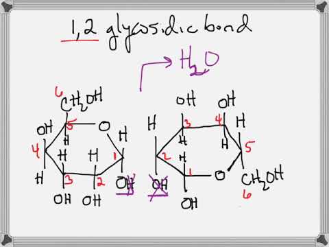 تصویری: پیوندهای گلیکوزیدی چگونه تشکیل می شوند؟