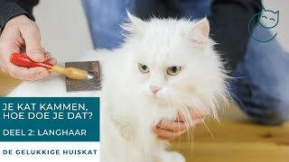 KATVRIENDELIJK KAMMEN DEEL 2: LANGHARIGE KAT