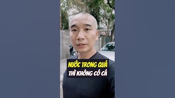 Nước Trong Quá Thì Không Có Cá - Người Tốt Quá Thì Không Có Ai Chơi. Câu này đúng không vậy?