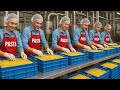 How Pasta is Made in a Factory | Modern Pasta Manufacturing Process.