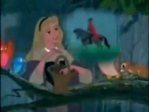 Disney Princess - If you can dream/ Als je maar dr...