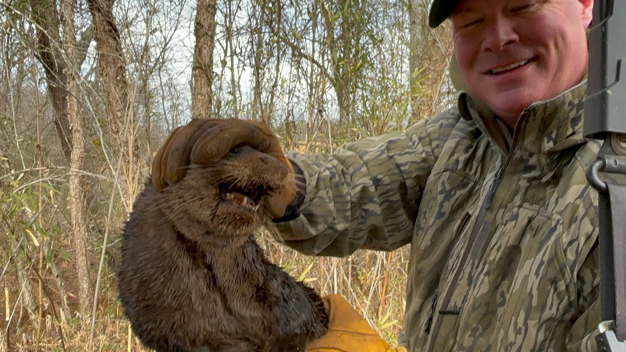 My dad caught a beaver 
