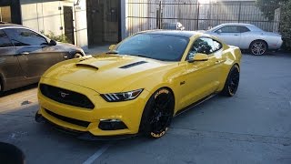 Awesome Ford Mustang exhaust sounds