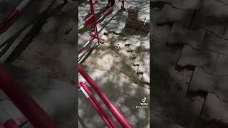 Grenoble, De Bonnes Nouvelles Et Une Mauvaise