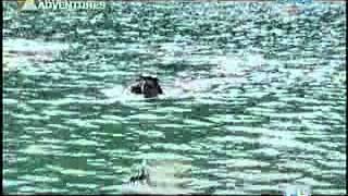 PGYRBA4