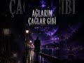 Mavili Mor – Ağlarım Çağlar Gibi (Anatolian Noir) #anadolunoir #ahmetatakantaşcıoğlu #darkfolk