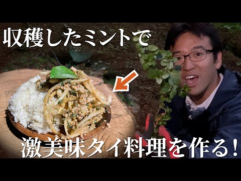 白米に合う 大量のミントとひき肉を混ぜる珍しい料理を作ってみた ハーブ18株目 Youtube