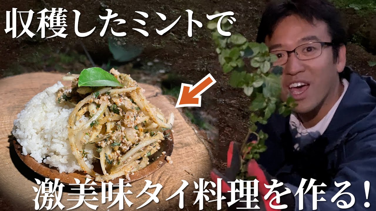 白米に合う 大量のミントとひき肉を混ぜる珍しい料理を作ってみた ハーブ18株目 Youtube