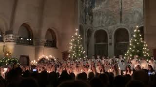 Glorious GAUDETE | CHOIR by Viktor Rydberg Gymnasium | Christmas 2022
